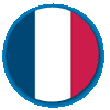 France flag button